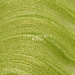 Гел лак DNKa Cats Eye 12 мл. 0006 Гел лак DNKa Cats Eye 12 мл. 0006
