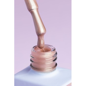 Гел лак DNKa Cat Eye Silk 12 мл. 0033 Гел лак DNKa Cat Eye Silk 12 мл. 0033