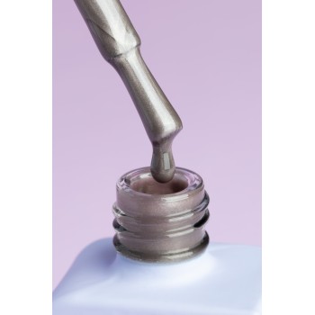 Гел лак DNKa Cat Eye Silk 12 мл. 0034 Гел лак DNKa Cat Eye Silk 12 мл. 0034